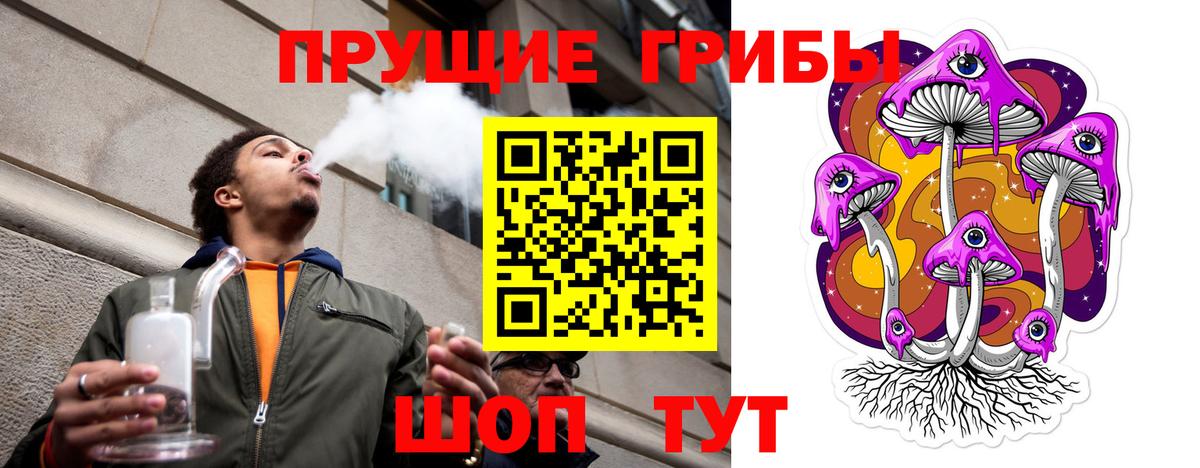 Псилоцибиновые грибы MAGIC MUSHROOMS  что такое   Краснокаменск  Вход с VPN 